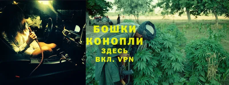 где можно купить   Опочка  МАРИХУАНА SATIVA & INDICA 